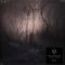 Opeth – Blackwater Park (2LP, Album, Limited Edition, Reissue, White Vinyl)