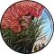 Jimi Hendrix – Merry Christmas And Happy New Year (12", EP, Record Store Day, Limited Edition, Numbered, Picture Disc, Vinyl)
