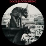 Current 93 – Dogs Blood Rising (LP, Limited Edition, Picture Disc Vinyl)