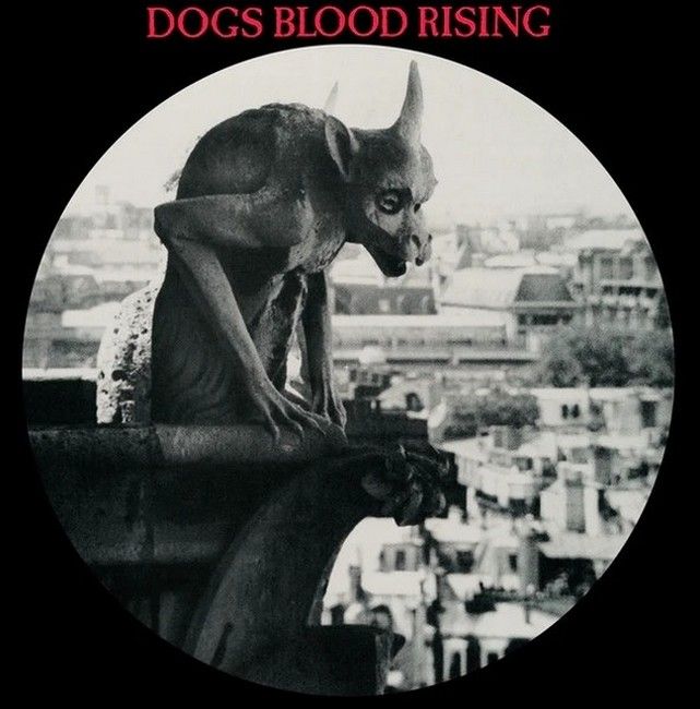 Current 93 – Dogs Blood Rising (LP, Limited Edition, Picture Disc Vinyl)