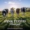 Платівка Pink Floyd – Atomized - John Peel's Sunday Concert BBC Paris Theatre London 19th July 1970|Пінк Флойд-Атомізований-Недільний концерт Джона Піла BBC Paris Theatre London 19 липня 1970 року(White Marble Vinyl)