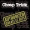 Cheap Trick – Authorized Greatest Hits (2LP, Compilation, Reissue, Stereo, Vinyl)