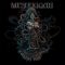 Meshuggah – The Violent Sleep Of Reason (2LP, Album, Vinyl)