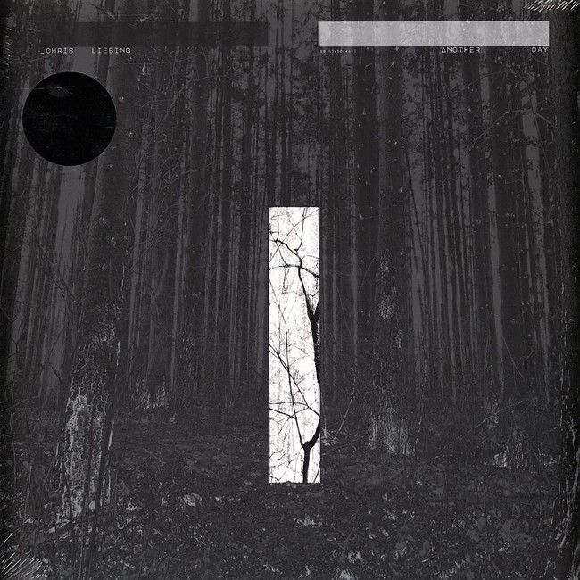 Chris Liebing – Another Day (2LP, Album, Vinyl)