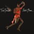 Tina Turner – Acid Queen (LP, Album, Vinyl)