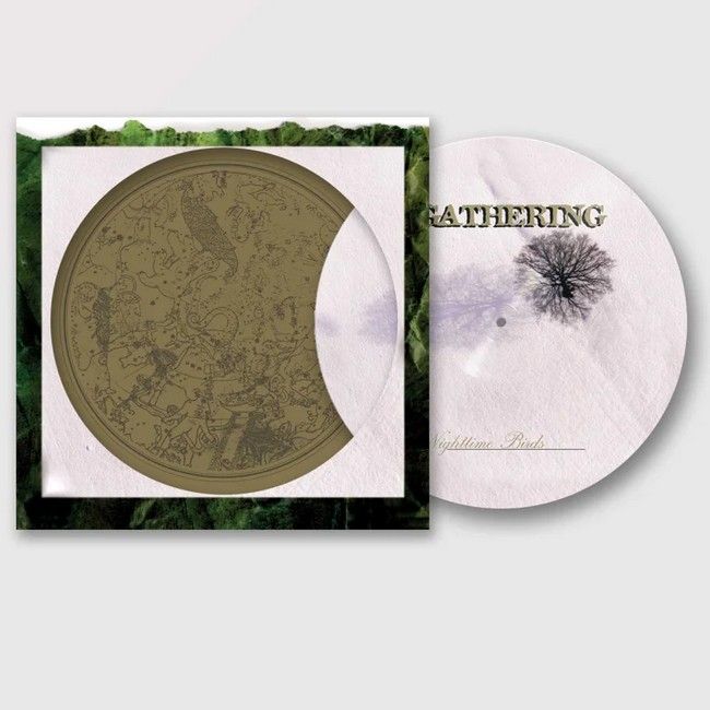 The Gathering - Nighttime Birds (LP,LP, Album, Limited Edition, Picture Disc, Reissue, Vinyl)