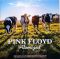 Платівка Pink Floyd – Atomized - John Peel's Sunday Concert BBC Paris Theatre London 19th July 1970|Пінк Флойд-Атомізований-Недільний концерт Джона Піла BBC Paris Theatre London 19 липня 1970 року(Turquoise/White Splatter Vinyl)