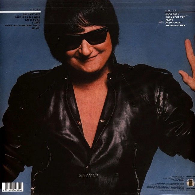 Платівка Roy Orbison – Laminar Flow|Рой Орбісон-Ламінарний потік