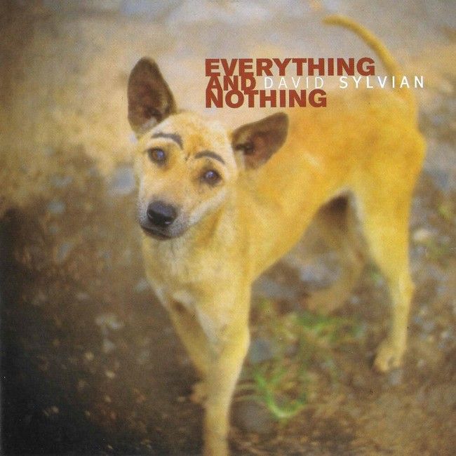 David Sylvian – Everything And Nothing (3LP, Compilation, Stereo, Vinyl)