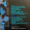 Fall Out Boy – Take This To Your Grave (LP, Album, Limited Edition, Blue Jay Vinyl)