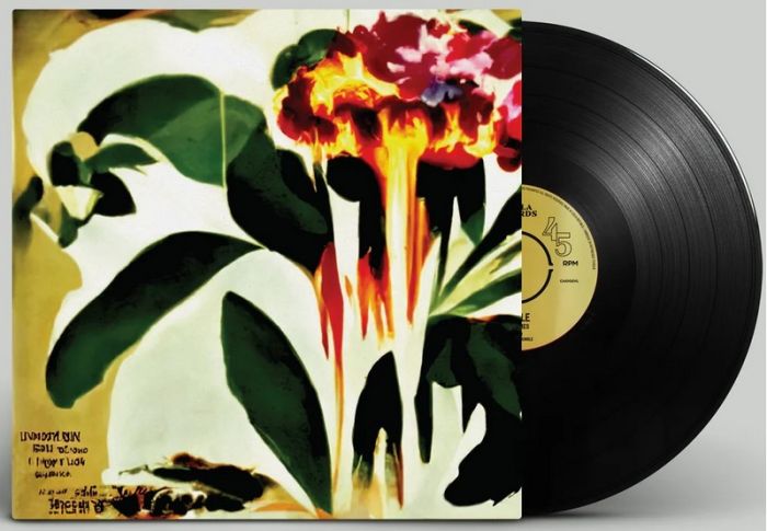 Jungle – Good Times / Problemz (EP, 12", 45 RPM, Record Store Day, Single, Vinyl)
