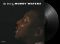 Muddy Waters – The Best Of Muddy Waters (LP, Compilation, Reissue, Mono, 180 Gram, Vinyl)