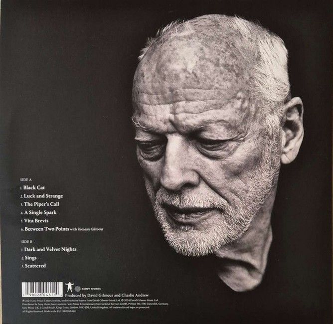 David Gilmour – Luck And Strange (LP, Album, Stereo, Vinyl)