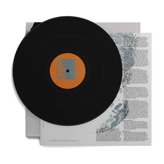 Pixies – The Night The Zombies Came (LP, Album, Vinyl)