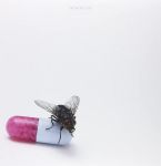 Red Hot Chili Peppers – I'm With You (2LP, Album, Reissue, Repress)