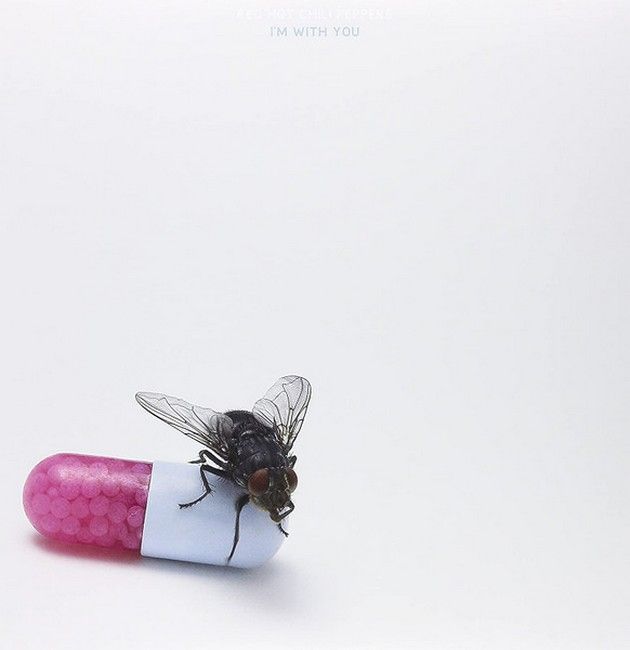 Red Hot Chili Peppers – I'm With You (2LP, Album, Reissue, Repress)