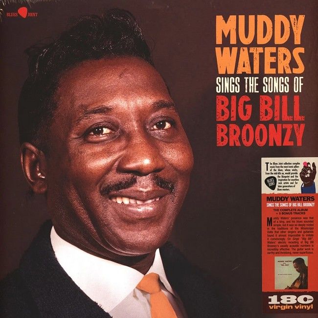Muddy Waters – Muddy Waters Sings The Songs Of Big Bill Broonzy (LP, Album, Stereo, Vinyl)