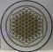 Платівка Bring Me The Horizon – Sempiternal|Принеси мені горизонт-Напівзимовий