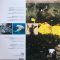 Brian Eno – Film Music 1976-2020 (2LP, Album, 180g, Vinyl)