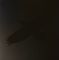 Sigur Ros With Steindor Andersen, Hilmar Orn Hilmarsson And Maria Huld Markan Sigfusdottir – Odin's Raven Magic (Vinyl)