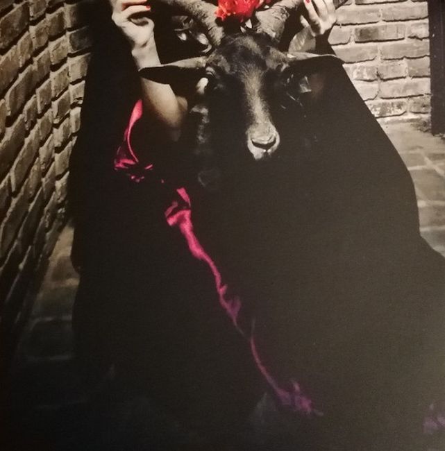 Danzig – Black Laden Crown (Vinyl)