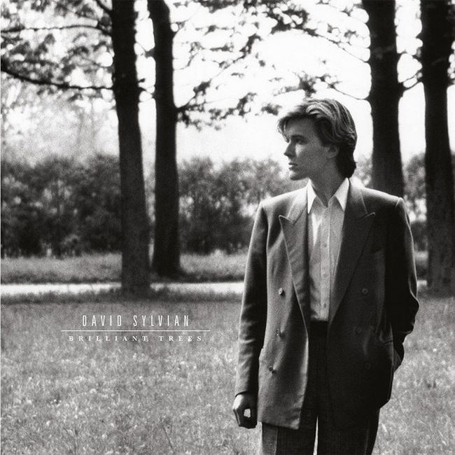 David Sylvian – Brilliant Trees (Vinyl)