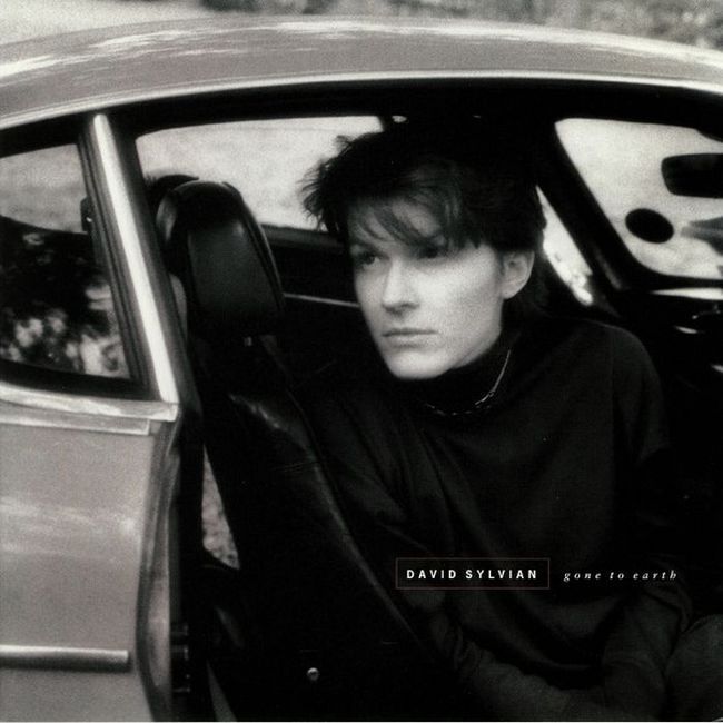 David Sylvian – Gone To Earth (Vinyl)