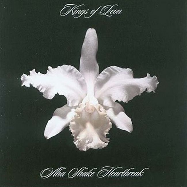 Kings Of Leon – Aha Shake Heartbreak (Vinyl)