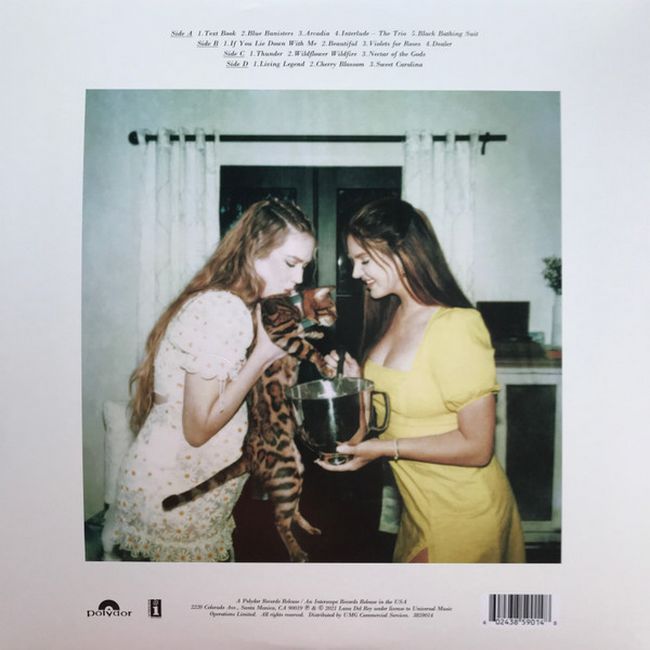 Платівка Lana Del Rey – Blue Banisters|Лана Дель Рей-Сині перила(2xLP)
