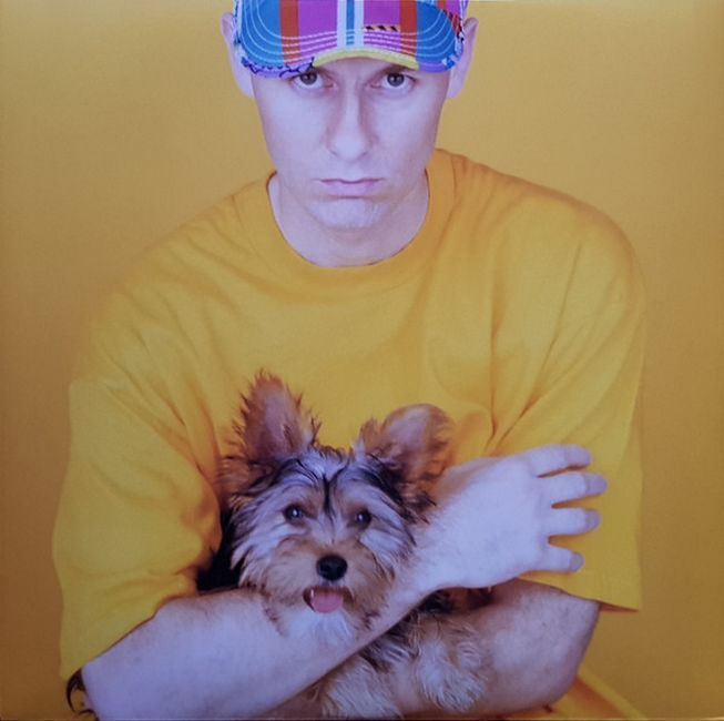 Платівка Pet Shop Boys – Introspective | Пет Шоп Бойз
