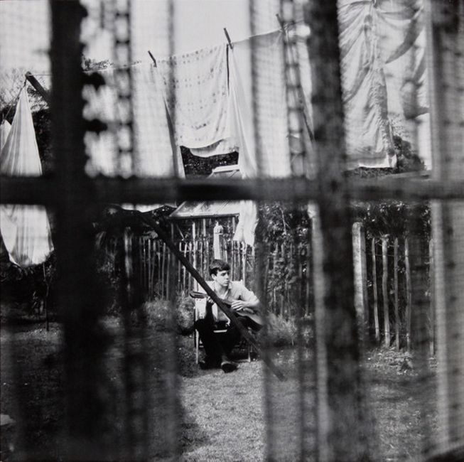 Paul McCartney – Chaos And Creation In The Backyard 