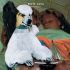 White Lung – Deep Fantasy (Vinyl)