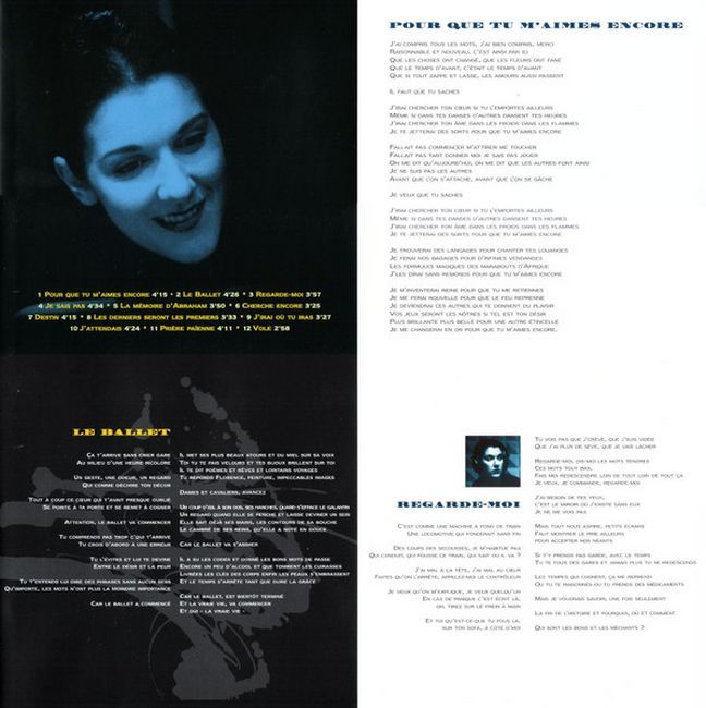 Celine Dion – D'Eux (Vinyl)