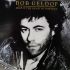 Bob Geldof – Deep In The Heart Of Nowhere (Vinyl)