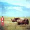 Платівка Адріан Белью – Самотній носоріг | Adrian Belew – Lone Rhino (Vinyl)