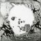 Платівка Radiohead – A Moon Shaped Pool (Vinyl)  | Радіохед