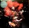 Платівка Бьорк - Біофілія | Bjork – Biophilia (Vinyl)