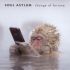 Soul Asylum – Change Of Fortune (Vinyl)