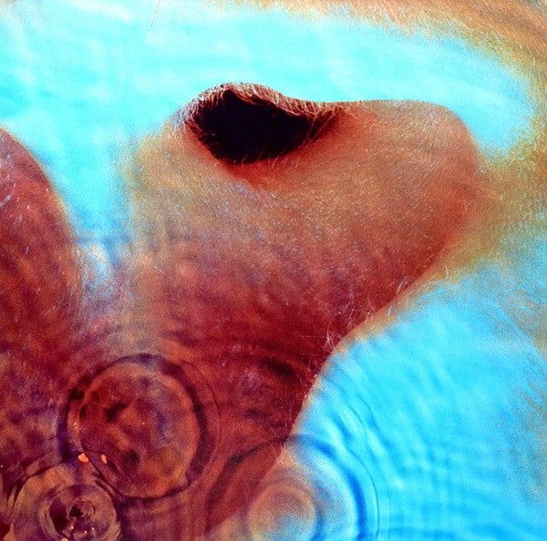Платівка Pink Floyd – Meddle (Vinyl) | Пінк Флойд