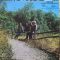 Платівка Creedence Clearwater Revival – Green River|Creedence Clearwater Revival-Зелена річка