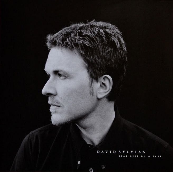 Платівка David Sylvian – Dead Bees On A Cake | Девід Сильвіан