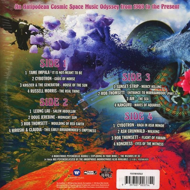 The Amorphous Androgynous* – A Monstrous Psychedelic Bubble Exploding In Your Mind - The Wizards Of Oz (Vinyl)