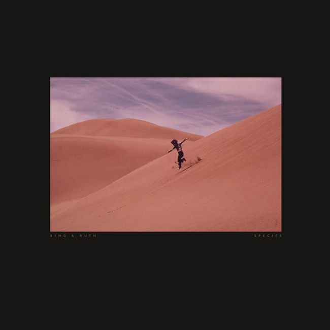 Bing & Ruth* – Species (Vinyl)