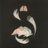 Платівка П'юріті Рінг – Шрайнс |Purity Ring – Shrines 
