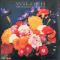 The Teardrop Explodes – Wilder (Vinyl)