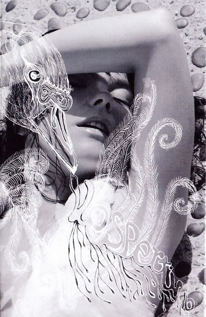 Bjork – Vespertine (Cassette)