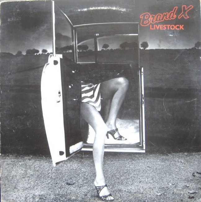 Brand X  – Livestock
