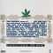 Dr. Dre – The Chronic (Vinyl)