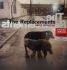 The Replacements – All Shook Down (Vinyl)