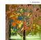 Платівка Браян Іно – Люкс | Brian Eno – Lux (2LP)
